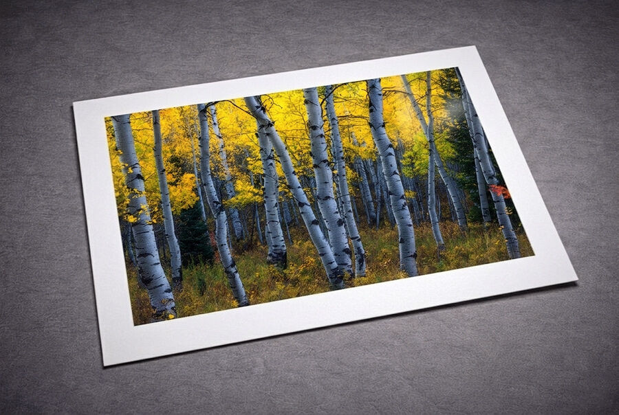 Fine art photographic prints for sale