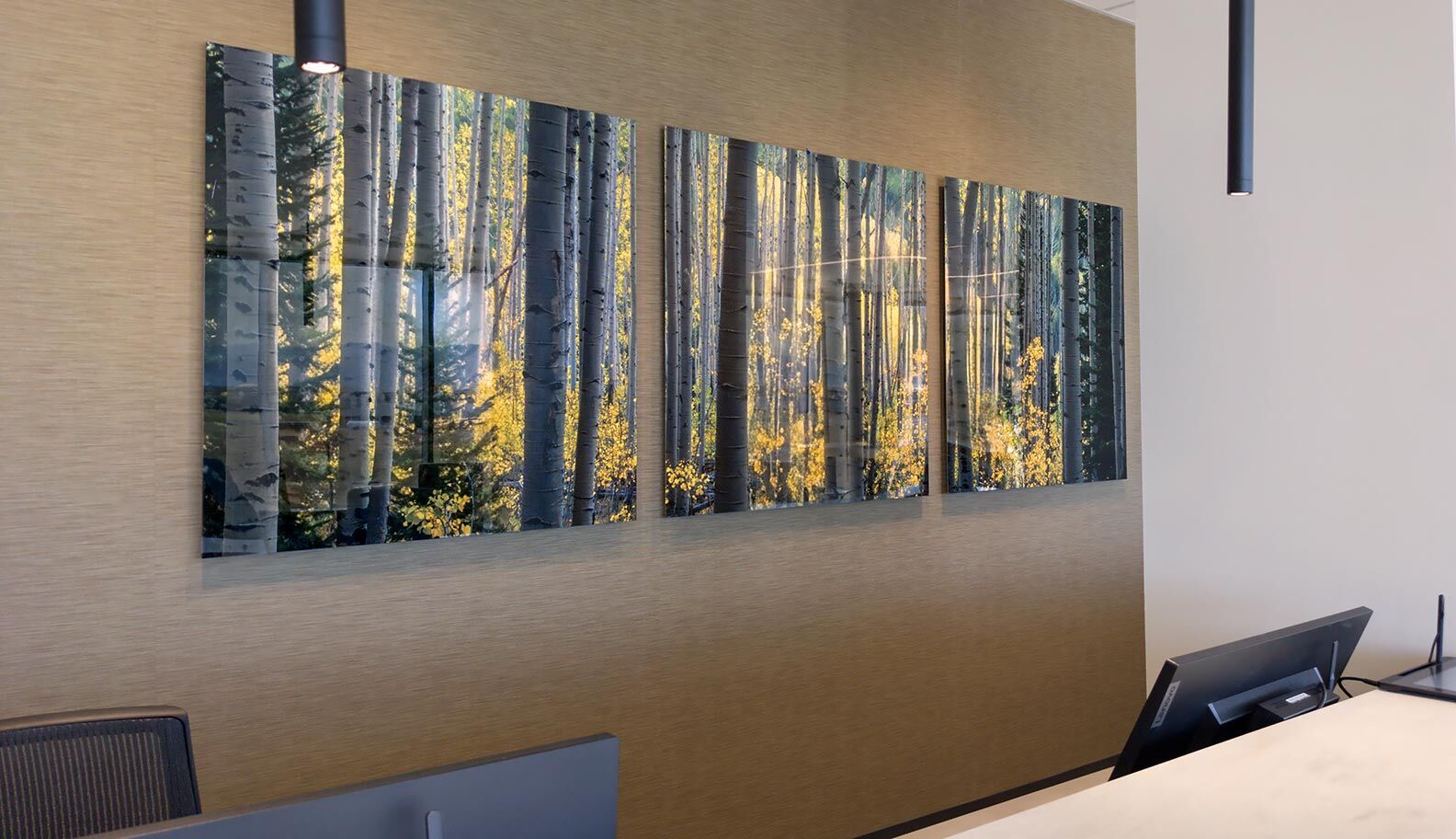 Healthcare Artwork | Nature Photography for Healing Spaces | Zack